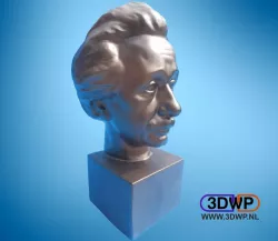 Albert Einstein Bust 3D Scan