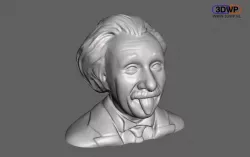 Albert Einstein Bust