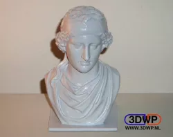 Aphrodite Bust (Sculpture 3D Scan)