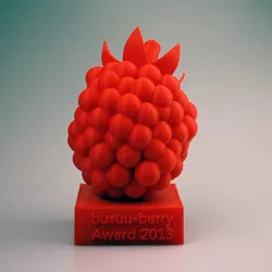 busuu-berry award 2013 trophy