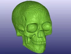 Celtic Skull 3D Scan (Hollow)