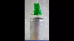 CRAZY LITTLE FROG