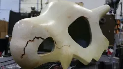Cubone Parts