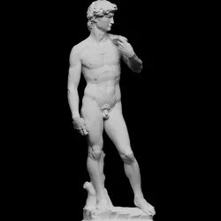 David