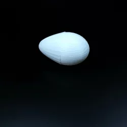destiny surprise egg