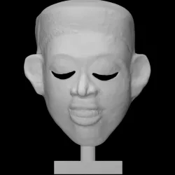 Disease mask