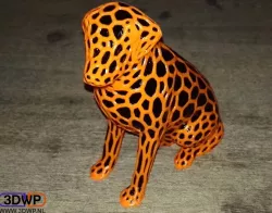 Dual Color Labrador