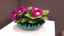 Egg pot