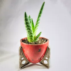Fallout 4 Desktop Planter