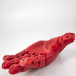 Flexy-Hand