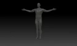 Human Base