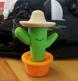 Juan the Cactus!