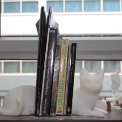 Kitty Cat On Books