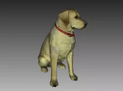Labrador Sculpture (Dog Statue Color 3D Scan)