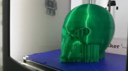 Martian Skull