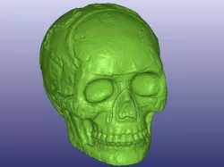 Mayan Skull 3D Scan (Hollow)