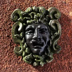 Medusa Head