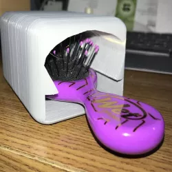 Mini Wet Brush case