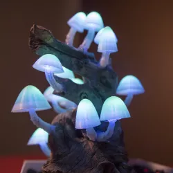 Mushroom Caps for Glowing Mushroom Light