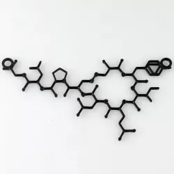 Oxytocin necklace (love molecule)