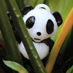 Pocket Panda