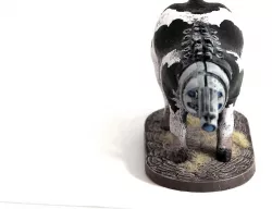 Protocattle