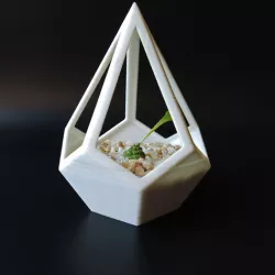 Pyramid Dodecahedron Planter