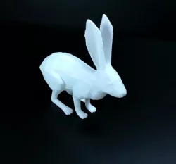 rabbit 3D