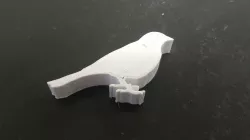 Robin