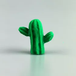 Scanned Cactus