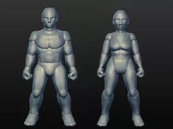 Sculptris Dummies