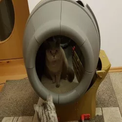 Self cleaning cat toilett / Cat litter box