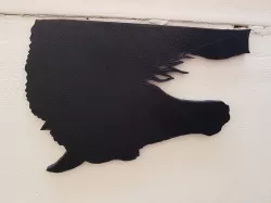 shadow of a horse and a dog