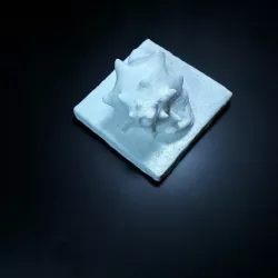 Sin título 3D Escaner 2018-02-03