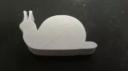 Snail