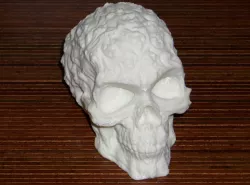 Spook Skull 3D Scan (Hollow)