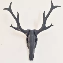 Stag Skull
