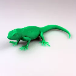 The Green Iguana