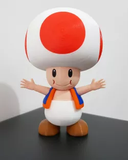 Toad from Mario games - Multi-color