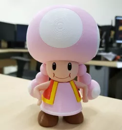 Toadette from Mario games - Multi-color