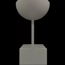 trophy