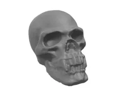 Vampire Skull