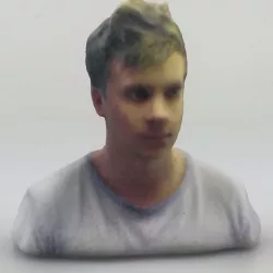 3D scan and Printed Rees bust