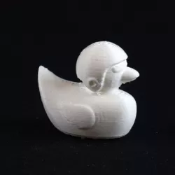 3DPrinterOS Touchdown Duck