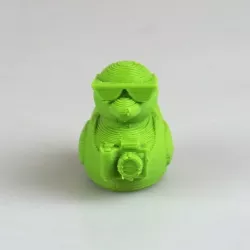3DPrinterOS Tourist Duck