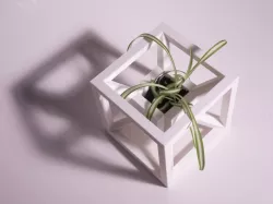 AION Planter