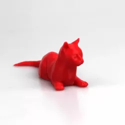 Alert Cat