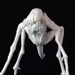 Alien Creature