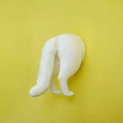 Animal Behinds : Cat - Fridge Magnets