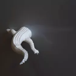 Animal Behinds : Crocodile - Fridge Magnet and Wall decoration